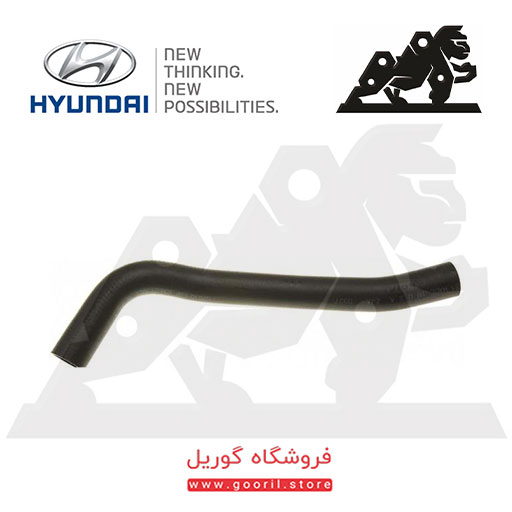 شلنگ پایین رادیاتور هیوندای آزرا 254153L200