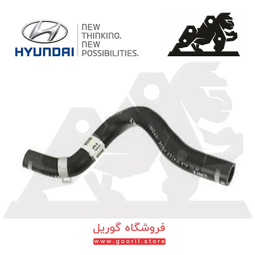 شلنگ بخاری ورودی هیوندای سوناتا (YF) 973113S100