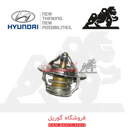 250035504